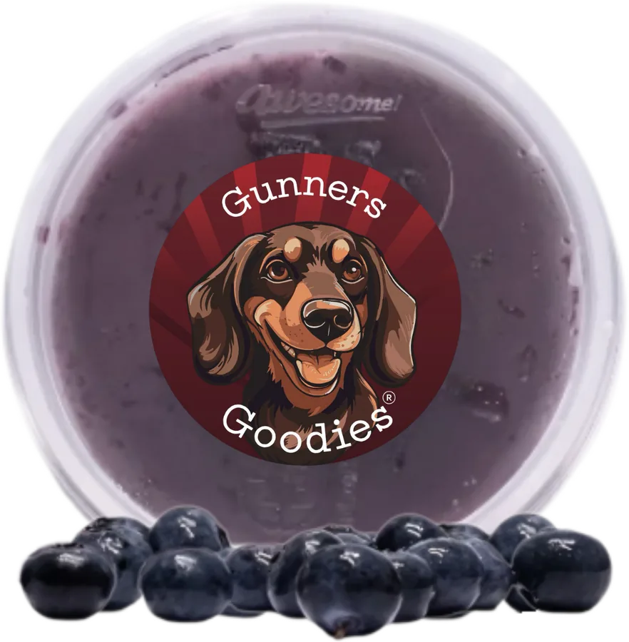 Blueberry doggy ice cream pot with blueberries
