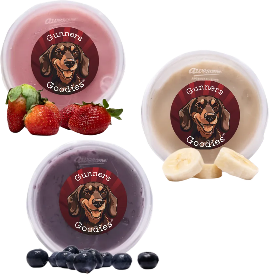 Three doggy ice cream pots — strawberry, banana and blueberry
